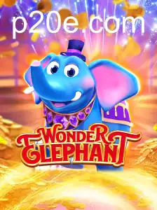 WonderElephant